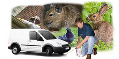 Accrington local van